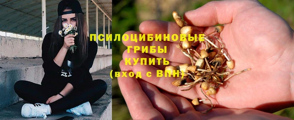 не бодяженный Коряжма